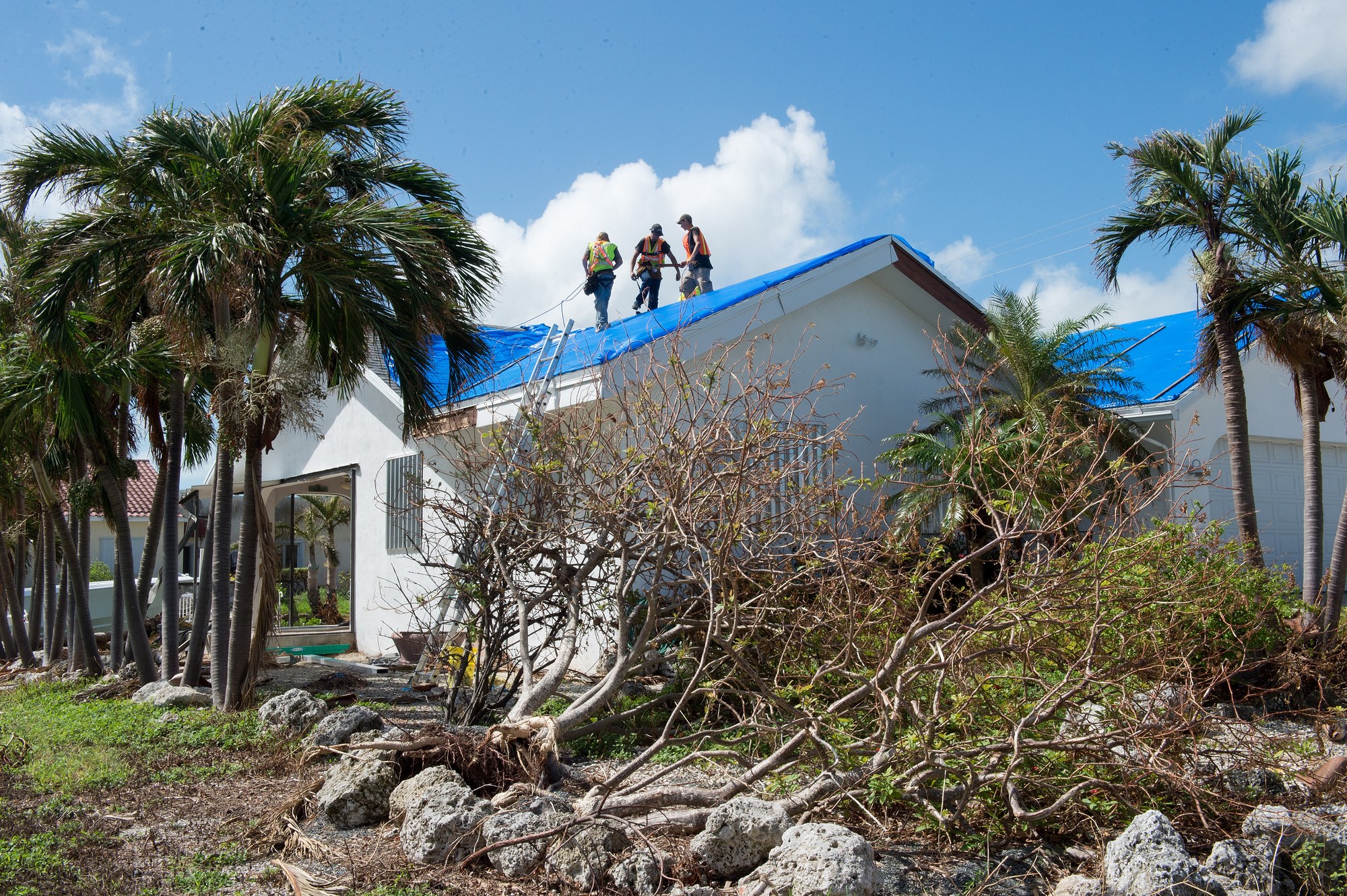 Crew installing a temporary blue tarp on a hurricane-damaged roof in the Florida Keys